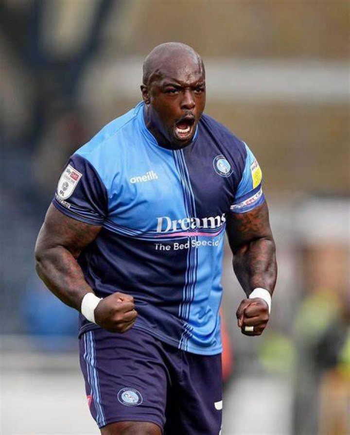 Adebayo Akinfenwa Highlights