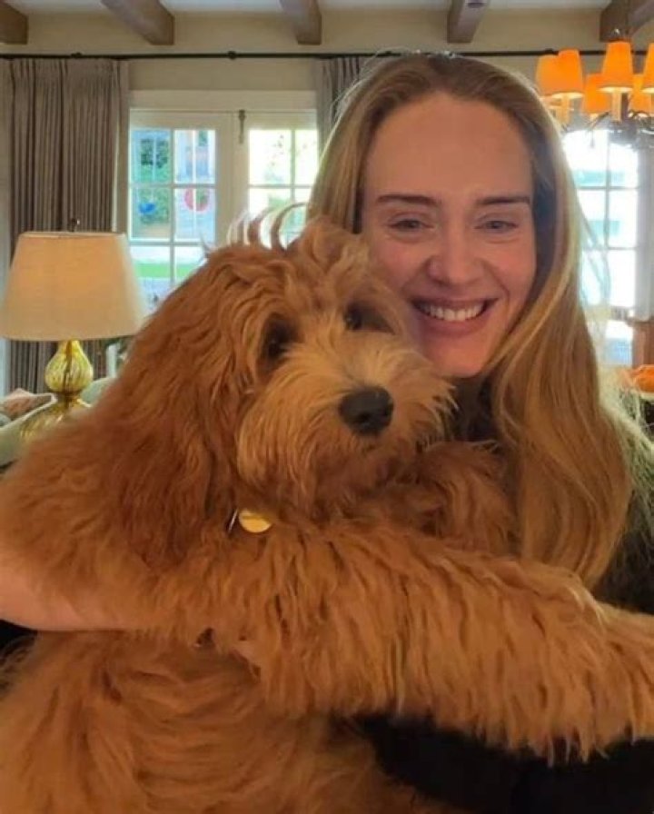 Adele Pets