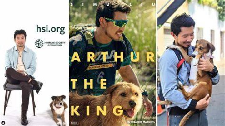 Arthur Leclerc Pets - Celebrity Pets