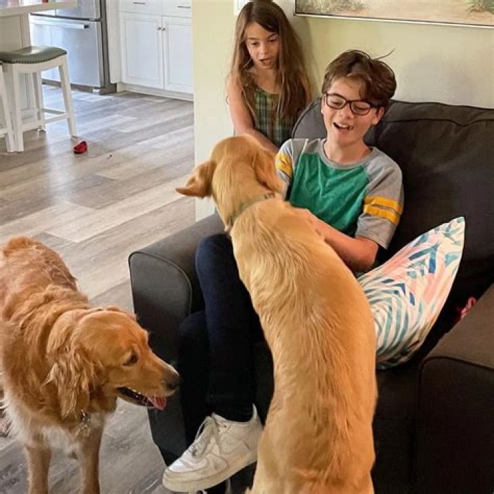 Brecken Merrill Pets