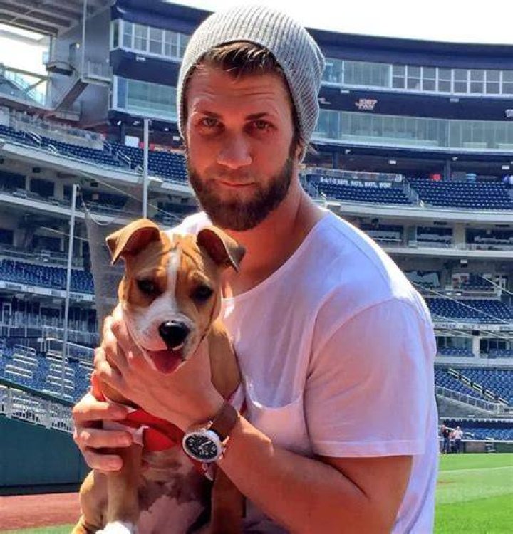 Bryce Harper Pets