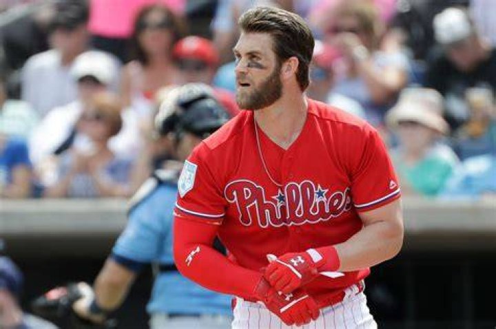 Bryce Harper's pet Swag
