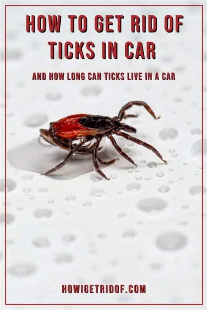 Can ticks live in your car?