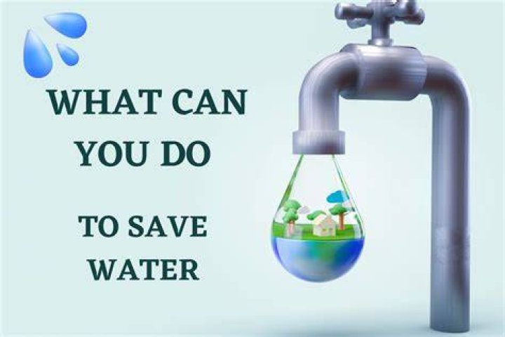 Do Oleanders need water?