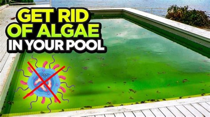 Does baking soda kill algae in a pool?