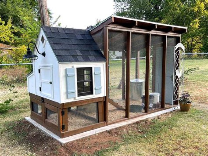Does Lowe’s have chicken coops?