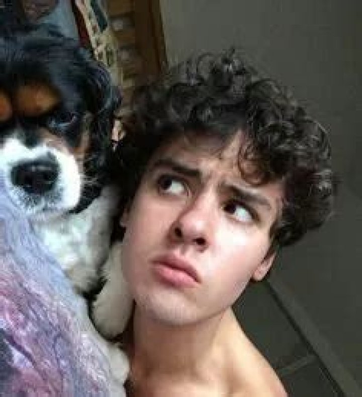 Finlay MacMillan Pets