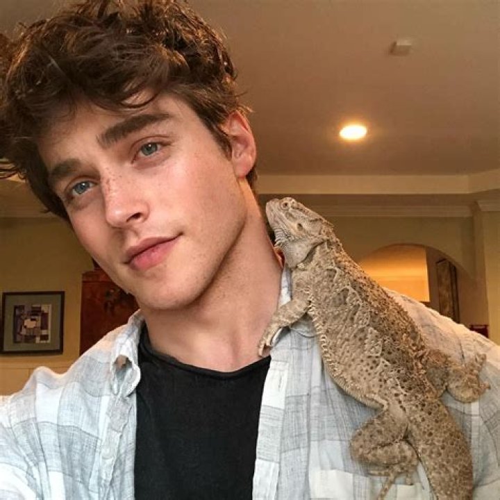 Froy Gutierrez bearded dragon