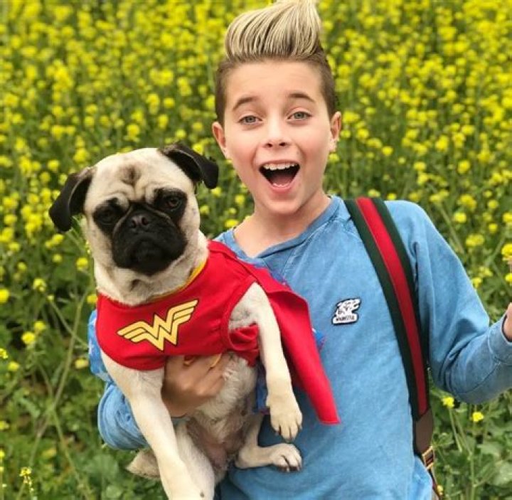 Gavin Magnus Pets
