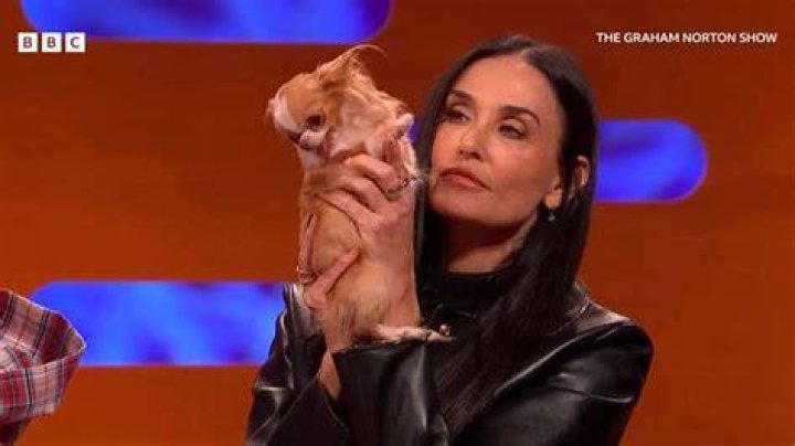 Graham Norton Pets