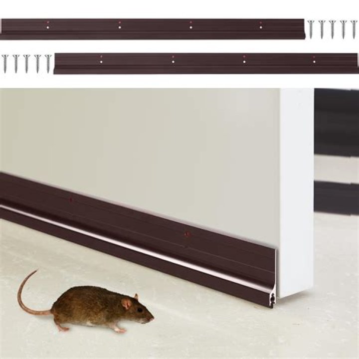 How do I keep mice from coming under my door?