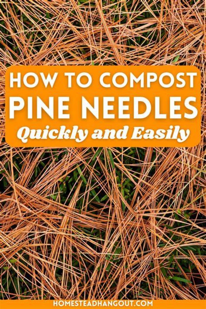 How do you compost pine needles fast?