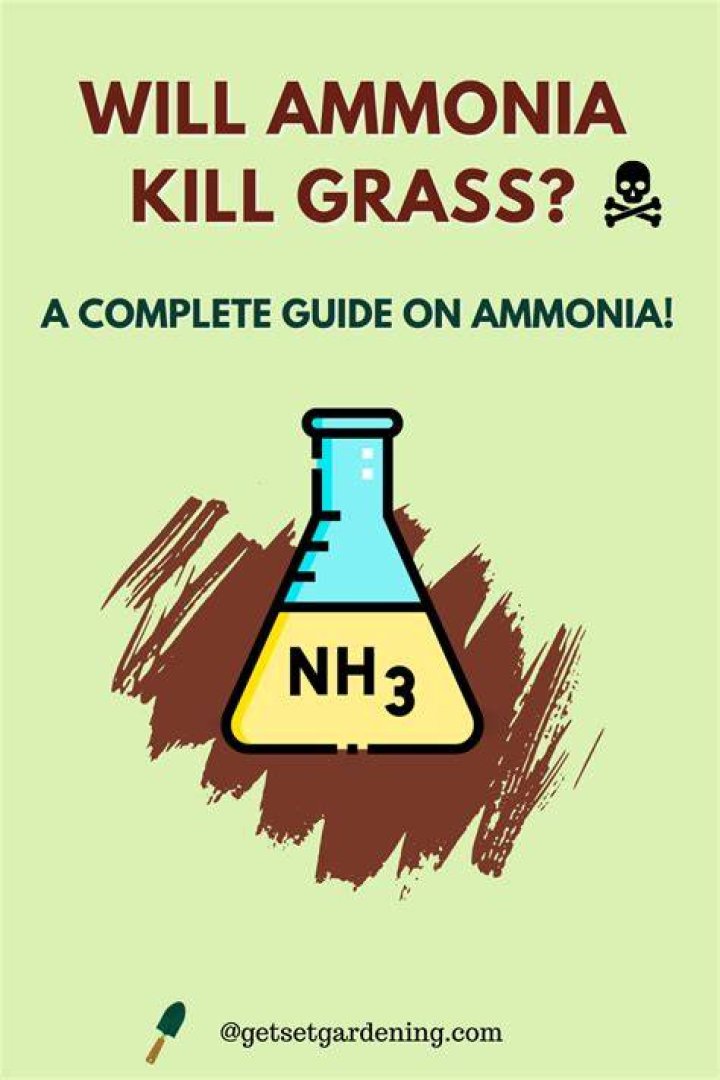 How do you kill grass with ammonia?