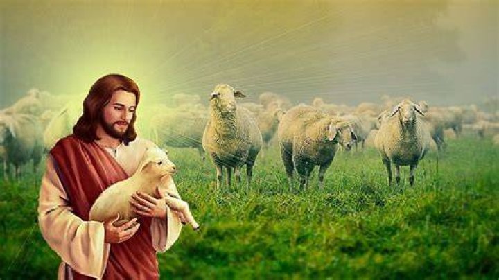Jesus Luz Bio (Wiki) 