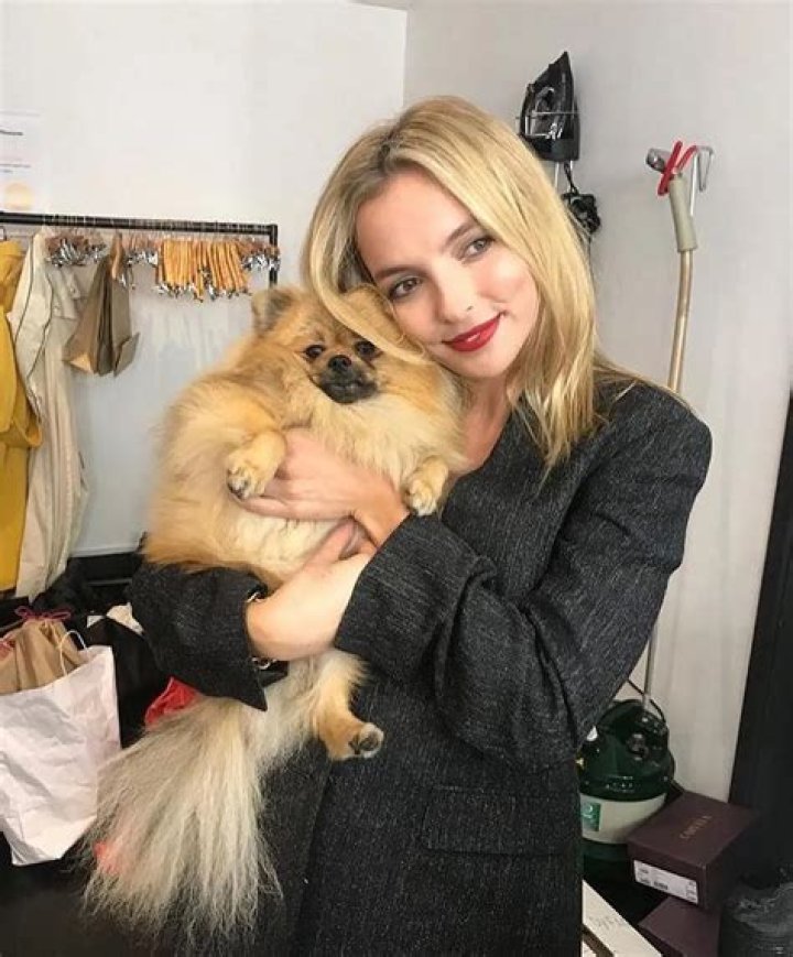 Jodie Comer Pets