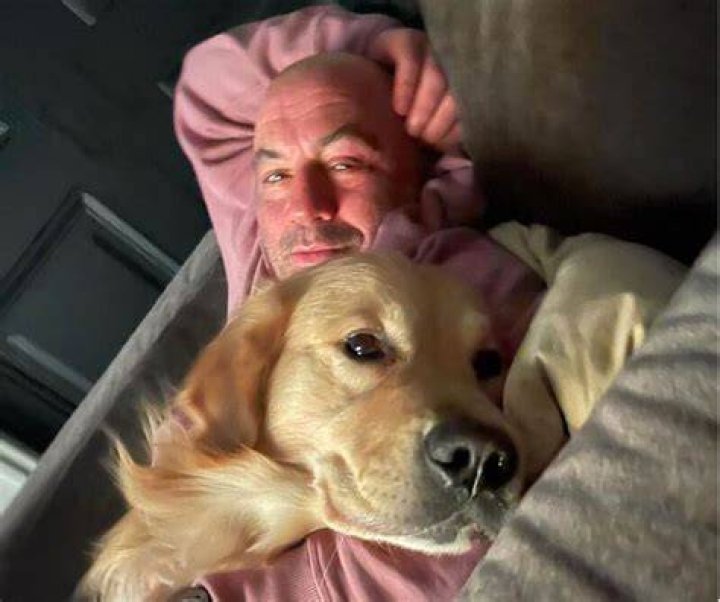 Joe Rogan Pets