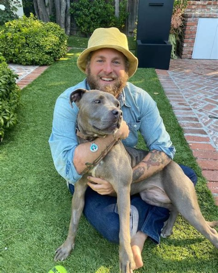 Jonah Hill Pets