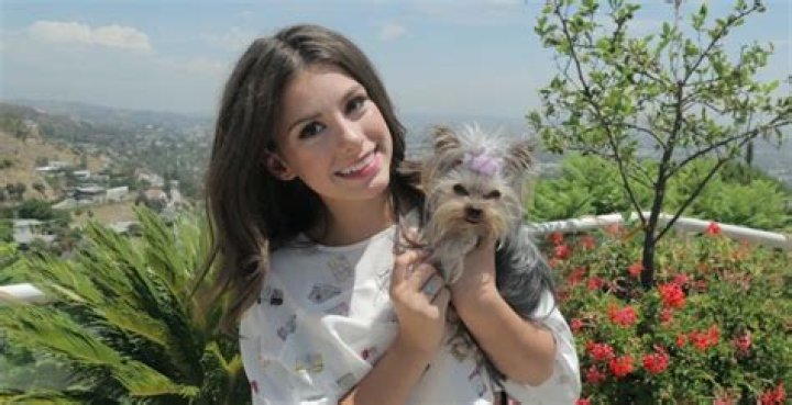 Madisyn Shipman Pets