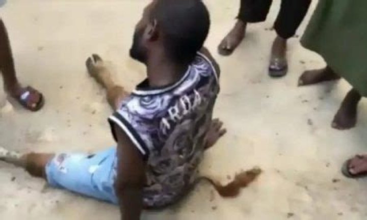 Man turns into cow video