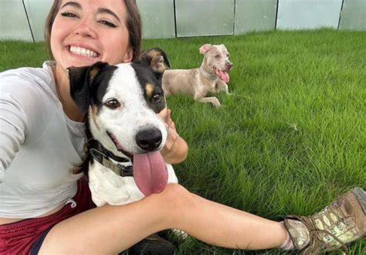 Maya Higa Pets