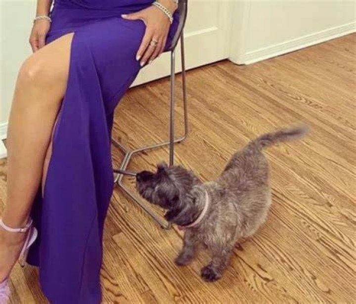 Merle Dandridge Pets