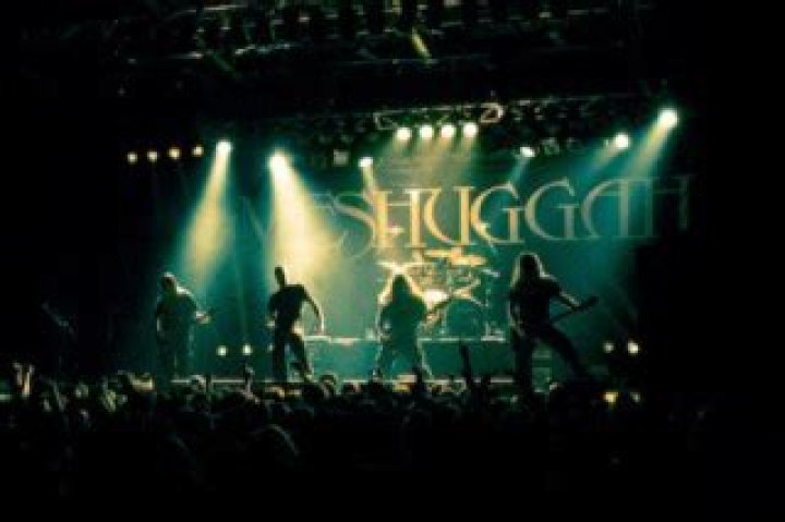 Meshuggah - Members, Ages, Trivia