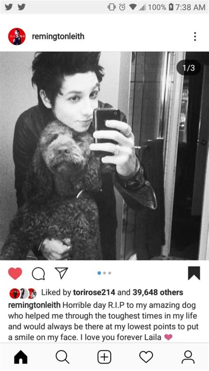 Remington Leith Pets