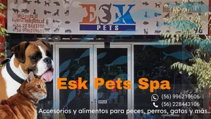 Santiago Giménez Pets
