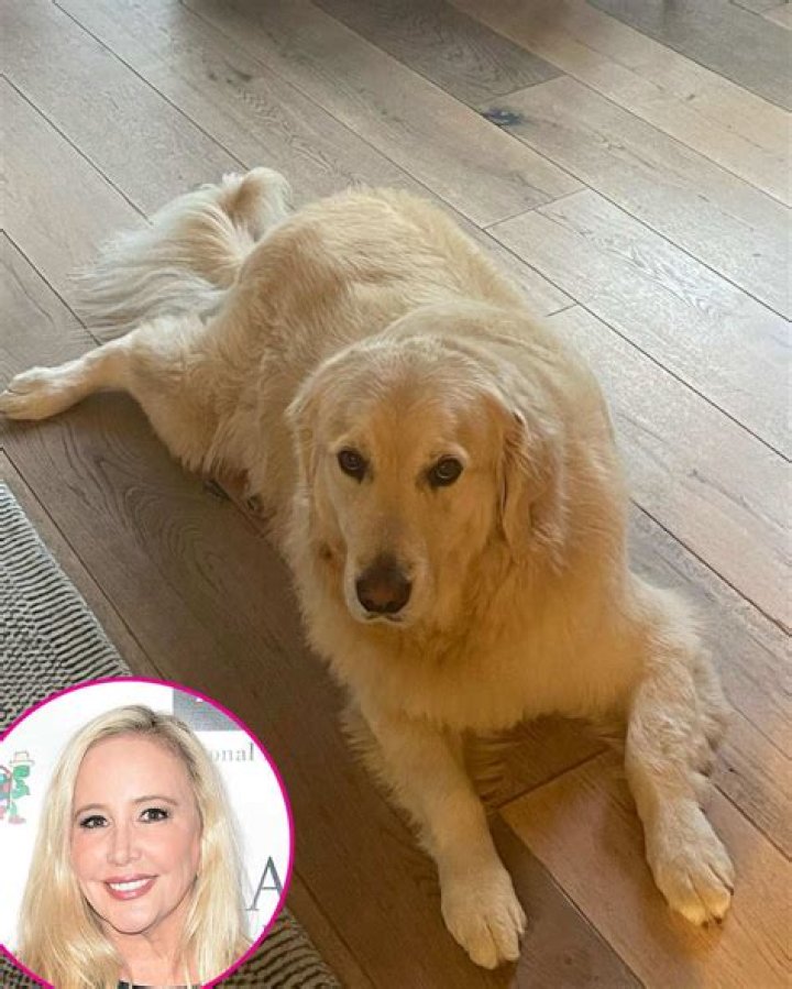 Shannon Beador Pets