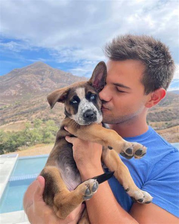 Taylor Lautner Pets