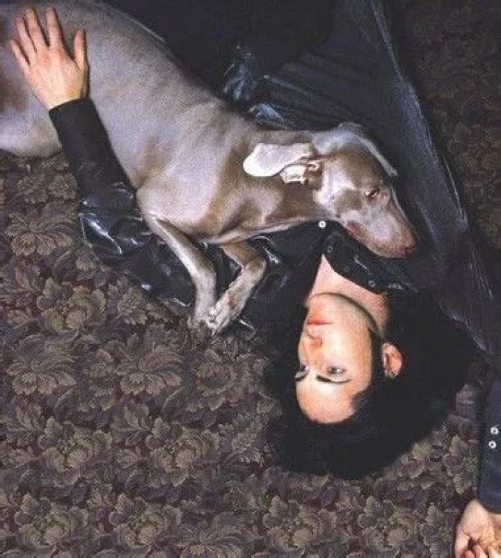 Trent Reznor Pets