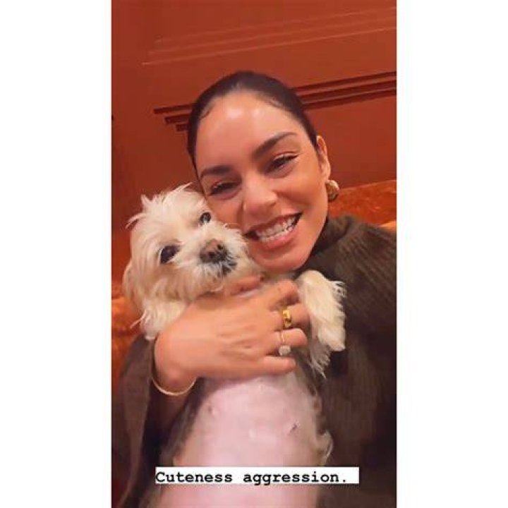 Vanessa Hudgens Pets