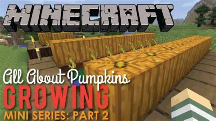 What do pumpkins grow on Minecraft?