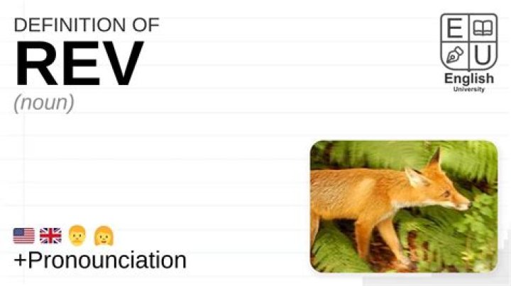 What does rev date mean?