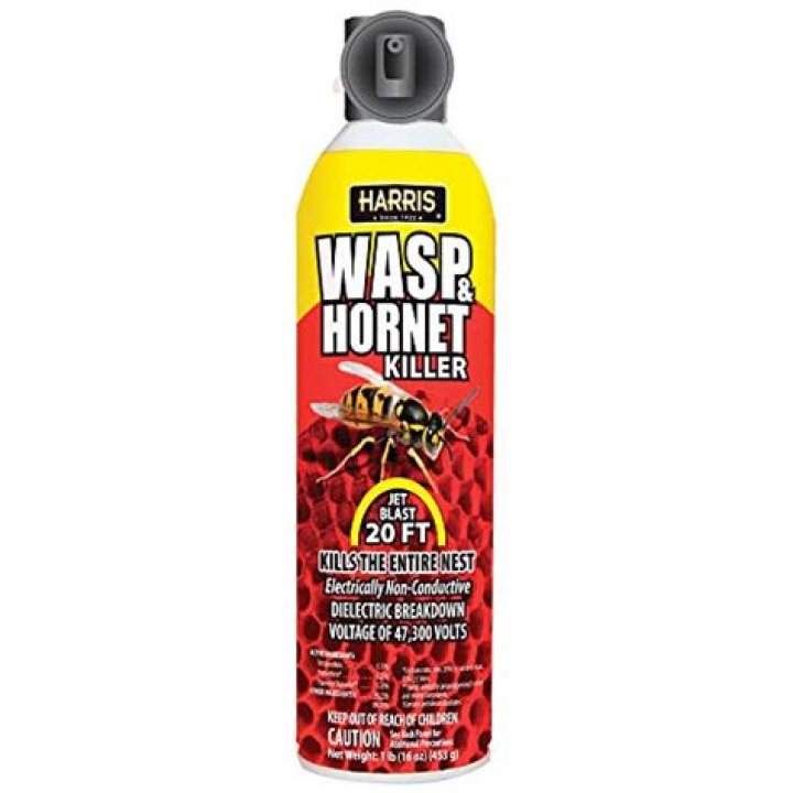 What is the best yellow jacket spray?
