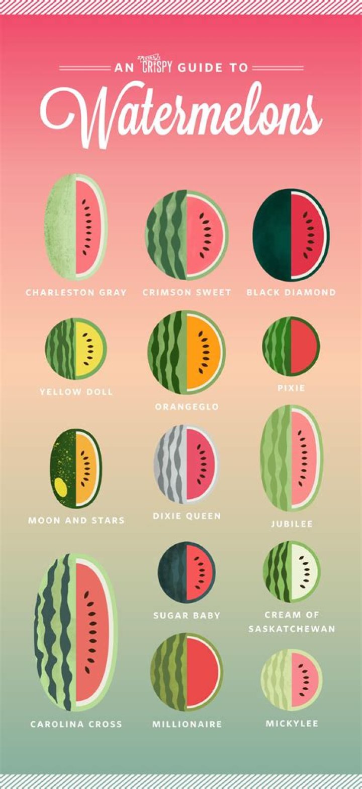 What should I name my watermelon?