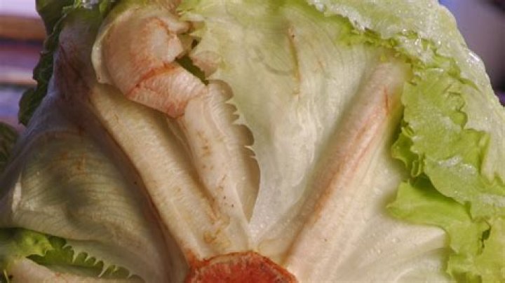Why does iceberg lettuce turn pink?